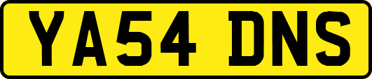 YA54DNS