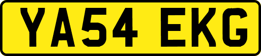 YA54EKG
