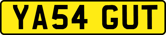 YA54GUT