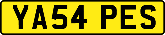 YA54PES