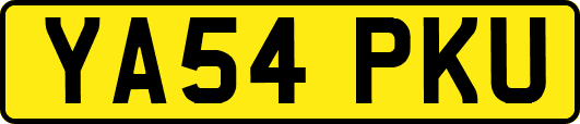 YA54PKU