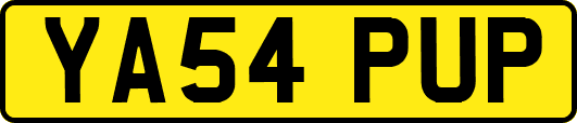 YA54PUP