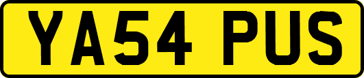 YA54PUS