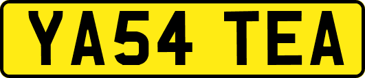 YA54TEA