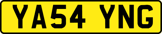 YA54YNG