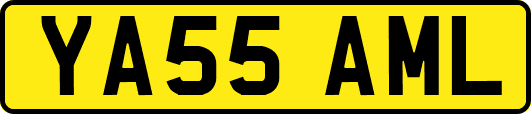 YA55AML