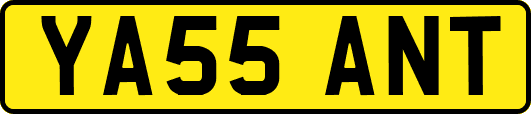 YA55ANT