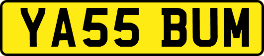 YA55BUM