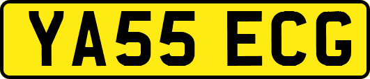 YA55ECG