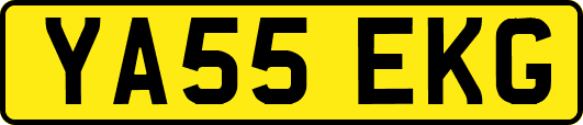 YA55EKG