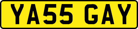 YA55GAY