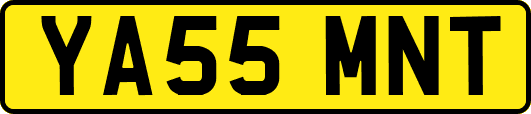 YA55MNT