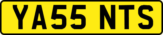 YA55NTS