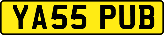 YA55PUB