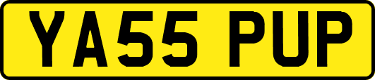 YA55PUP