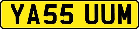 YA55UUM