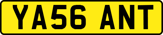 YA56ANT