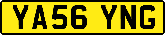 YA56YNG