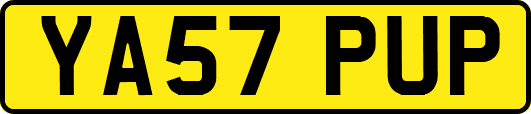 YA57PUP