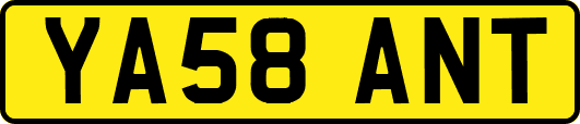 YA58ANT