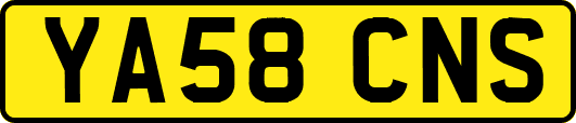 YA58CNS