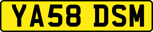YA58DSM