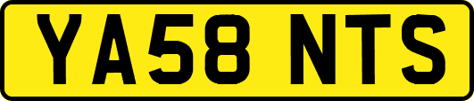 YA58NTS