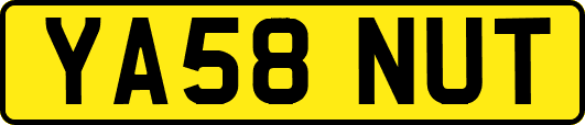 YA58NUT