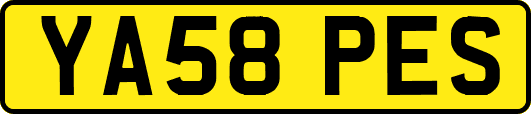 YA58PES