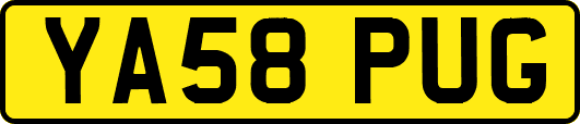 YA58PUG