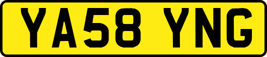 YA58YNG