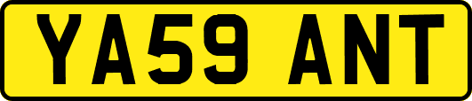 YA59ANT