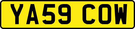 YA59COW