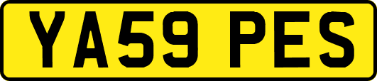 YA59PES