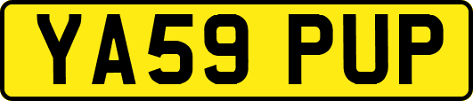YA59PUP