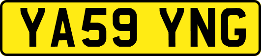 YA59YNG