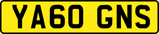 YA60GNS