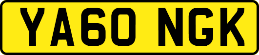 YA60NGK