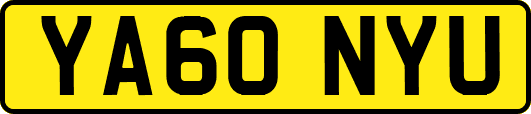 YA60NYU