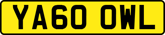 YA60OWL