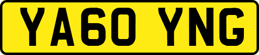 YA60YNG