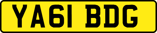 YA61BDG