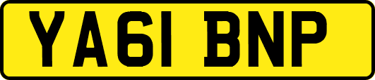 YA61BNP