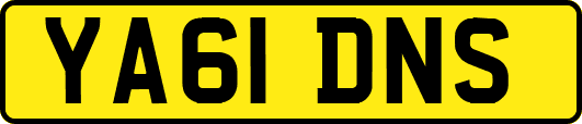 YA61DNS