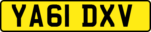 YA61DXV