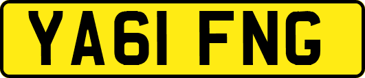 YA61FNG