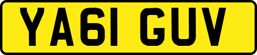 YA61GUV