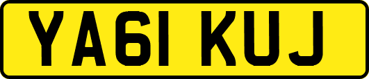 YA61KUJ