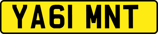 YA61MNT