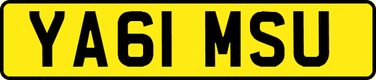 YA61MSU